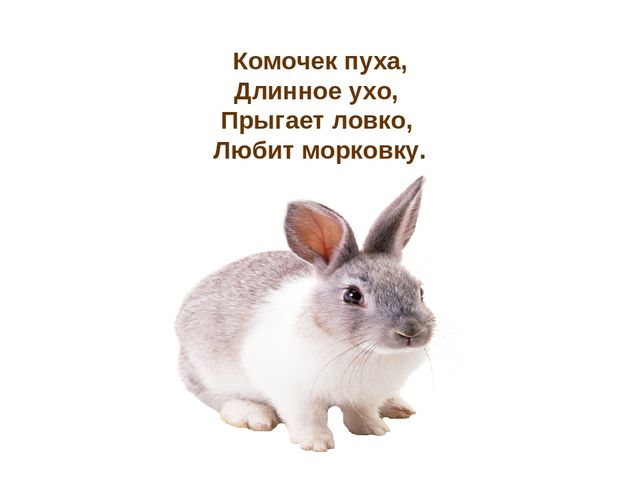 Презентация по развитию речи "Домашние животные"