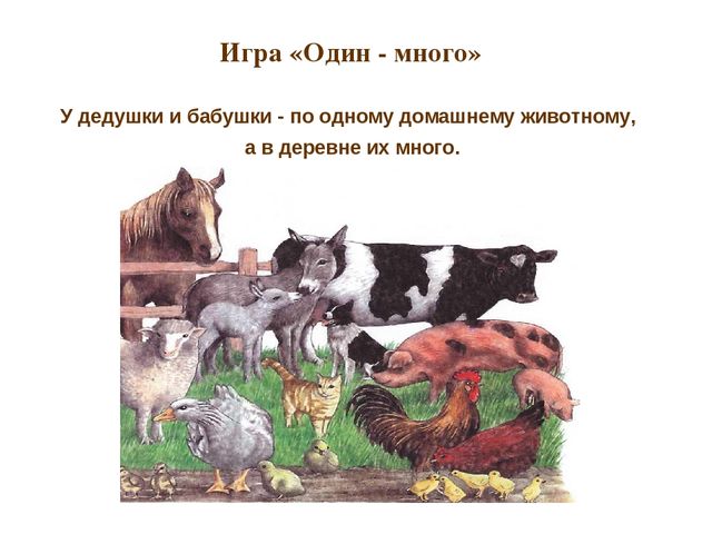 Презентация по развитию речи "Домашние животные"