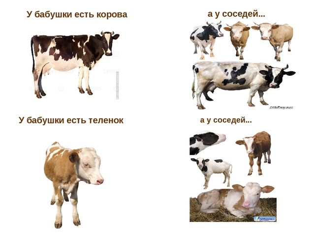 Презентация по развитию речи "Домашние животные"