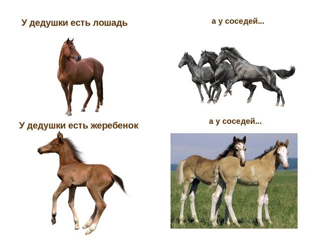 Презентация по развитию речи "Домашние животные"