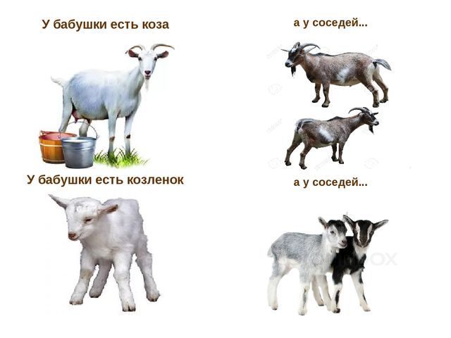 Презентация по развитию речи "Домашние животные"