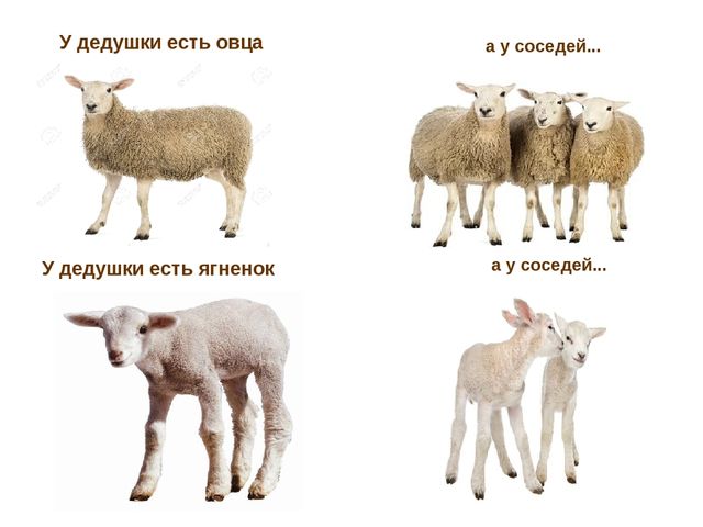 Презентация по развитию речи "Домашние животные"
