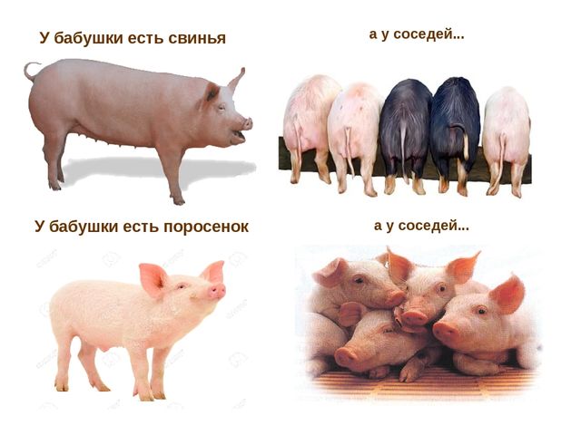 Презентация по развитию речи "Домашние животные"