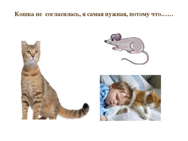 Презентация по развитию речи "Домашние животные"