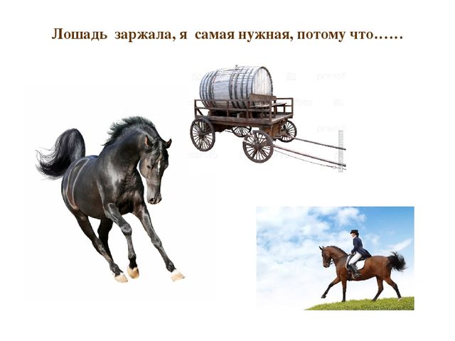 Презентация по развитию речи "Домашние животные"