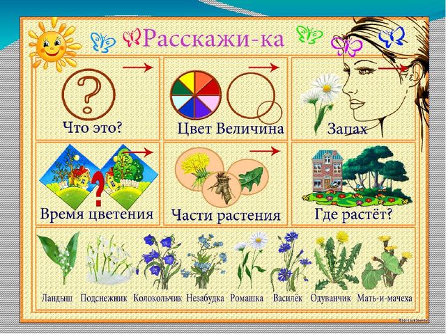 Презентация "Совместная самостоятельная деятельность дошкольников"