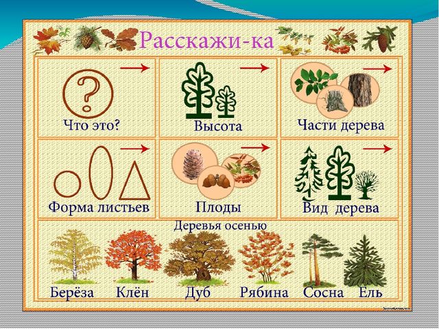 Презентация "Совместная самостоятельная деятельность дошкольников"