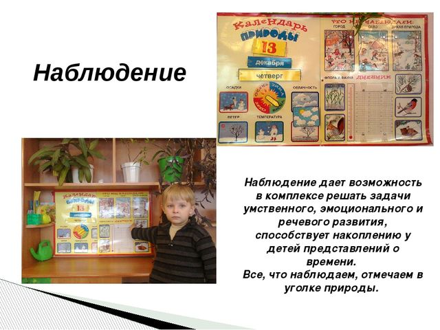 Презентация "Формирование временных представлений у детей"