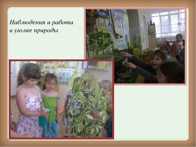 Презентация на тему "Формирование экологической культуры у старших дошкольников в процессе проектно-исследовательской деятельности"