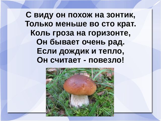 Презентация к музыкальному занятию: "День рождения Земли"