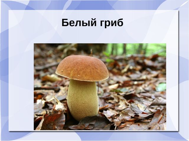 Презентация к музыкальному занятию: "День рождения Земли"