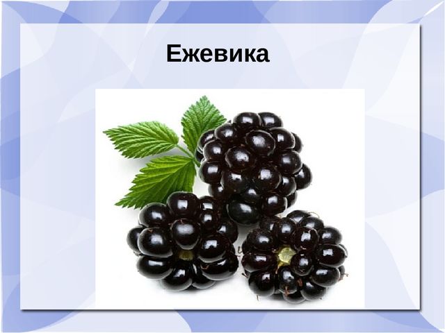 Презентация к музыкальному занятию: "День рождения Земли"