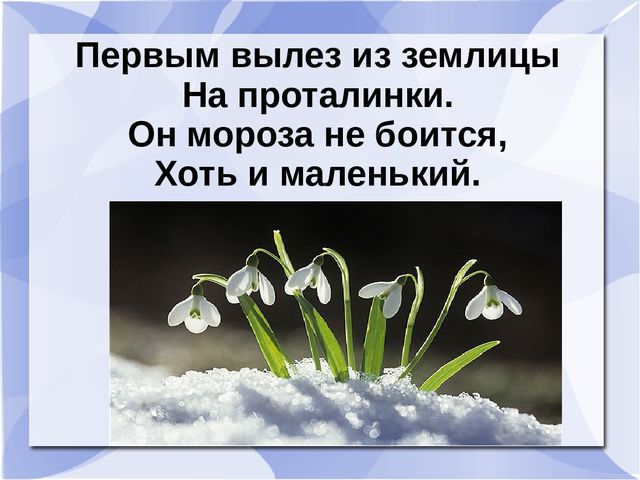 Презентация к музыкальному занятию: "День рождения Земли"