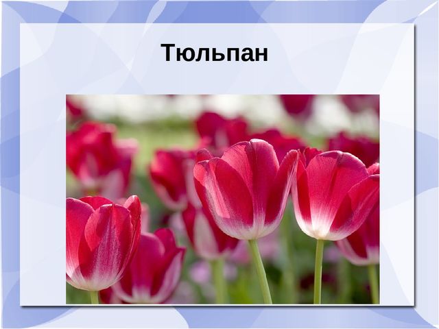 Презентация к музыкальному занятию: "День рождения Земли"