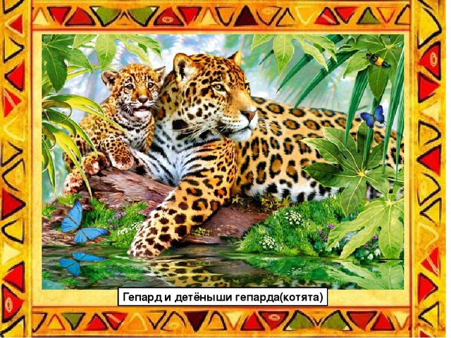 Презентация по теме: "Животные жарких стран"