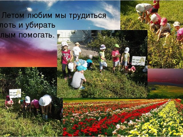 Презентация " Как мы провели лето"