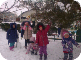Picture 6
