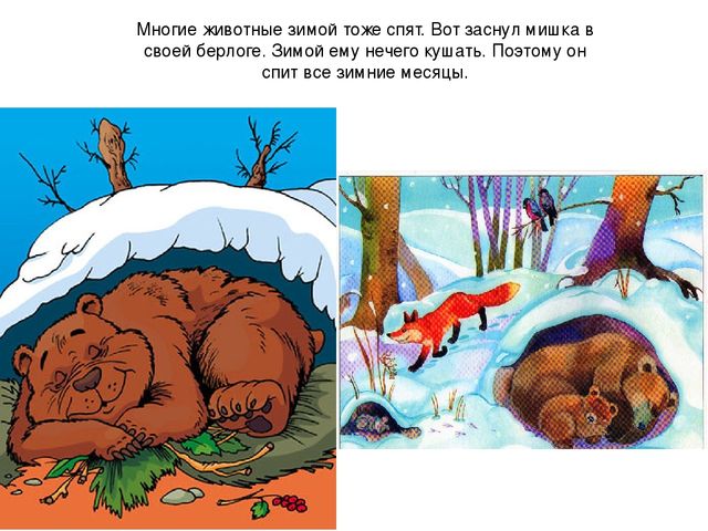 Презентация ознакомление с окружающим на тему: "Зимушка - Зима".