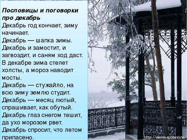 Презентация ознакомление с окружающим на тему: "Зимушка - Зима".
