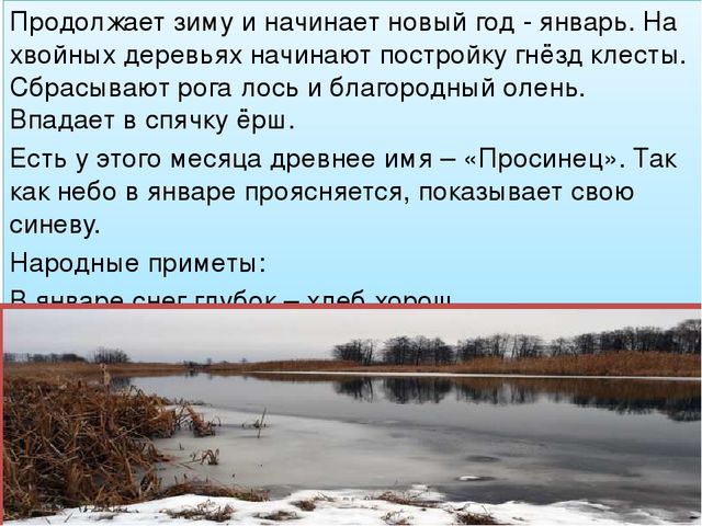 Презентация ознакомление с окружающим на тему: "Зимушка - Зима".