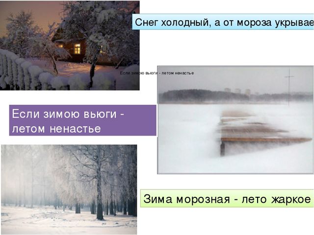 Презентация ознакомление с окружающим на тему: "Зимушка - Зима".