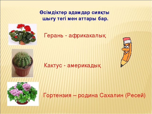 Проектное работа на тему "Гул (цветы)"