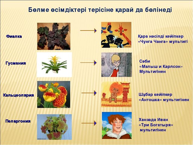 Проектное работа на тему "Гул (цветы)"