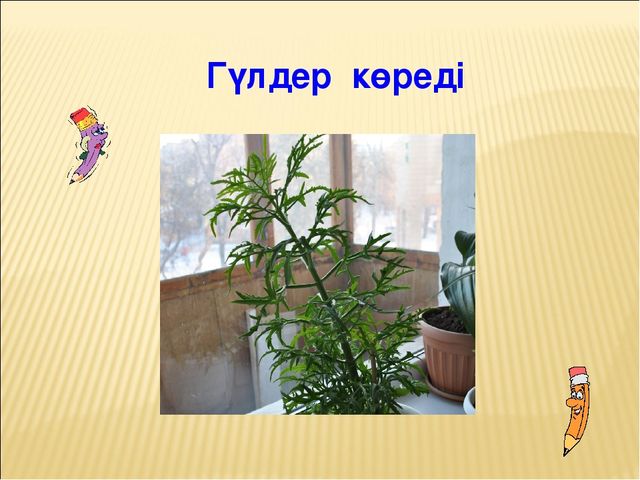 Проектное работа на тему "Гул (цветы)"