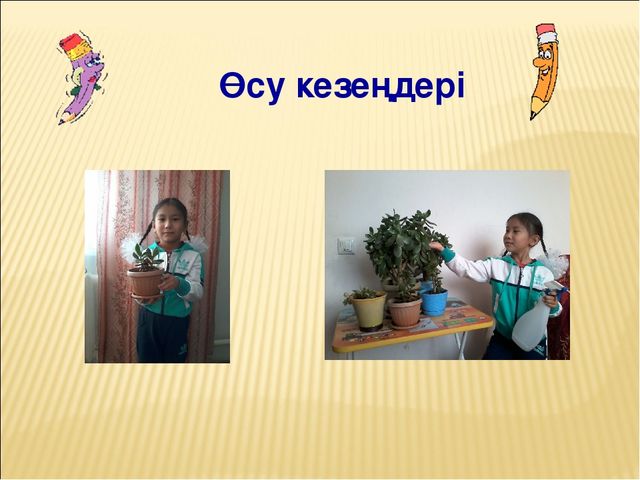 Проектное работа на тему "Гул (цветы)"