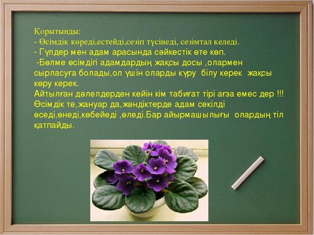 Проектное работа на тему "Гул (цветы)"