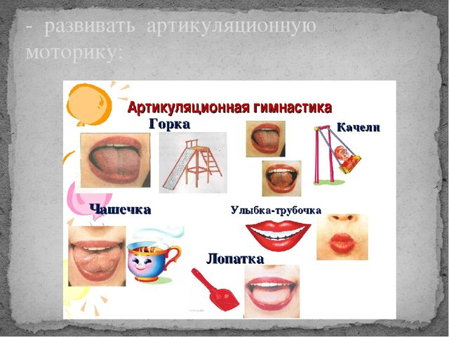 Кружок по развитию речи и совершенствованию моторики органов артикуляции «Веселый язычок» (средняя группа)