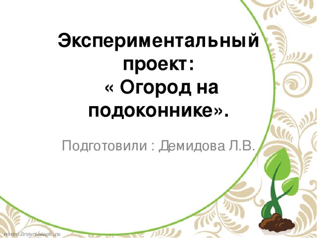 Проект в подготовительной группе "Огород на подоконнике"