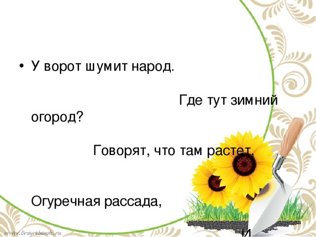Проект в подготовительной группе "Огород на подоконнике"