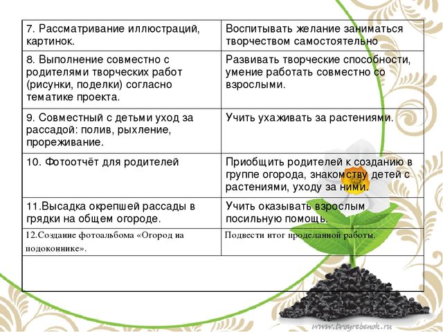Проект в подготовительной группе "Огород на подоконнике"