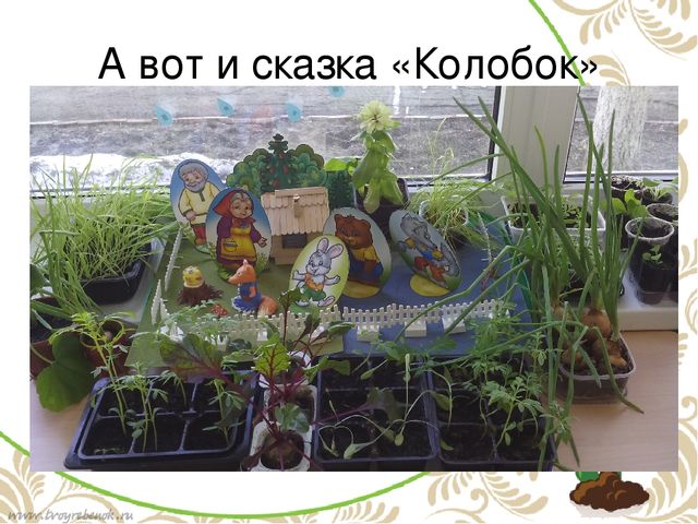 Проект в подготовительной группе "Огород на подоконнике"