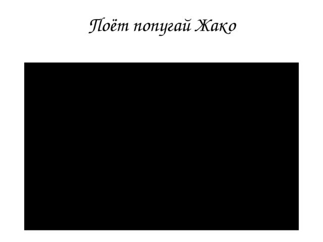 Презентация для детей детского сада "Птицы жарких стран".