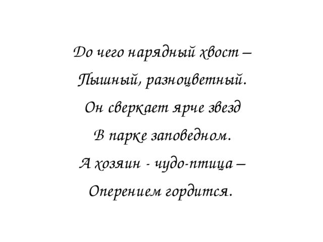 Презентация для детей детского сада "Птицы жарких стран".