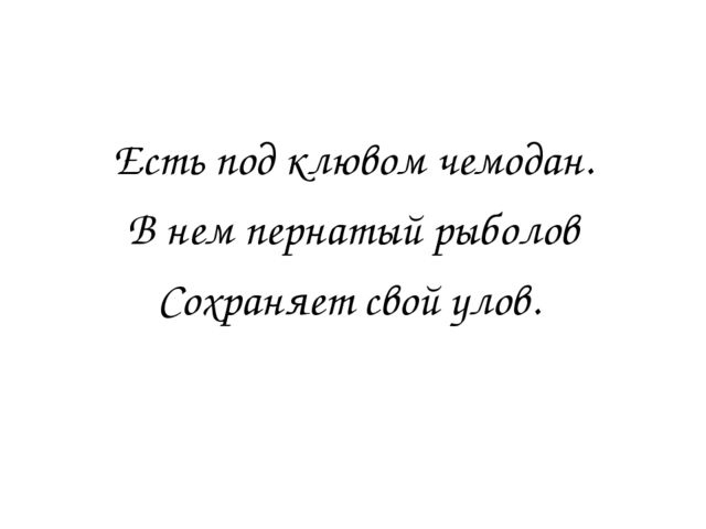 Презентация для детей детского сада "Птицы жарких стран".