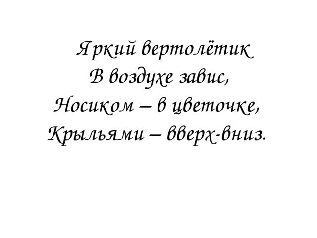 Презентация для детей детского сада "Птицы жарких стран".