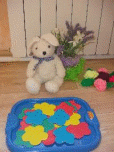 DSC06416.JPG