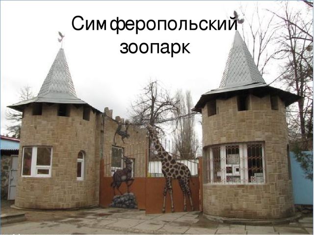 Интегрированное итоговое занятия  «Прогулка в лес»    