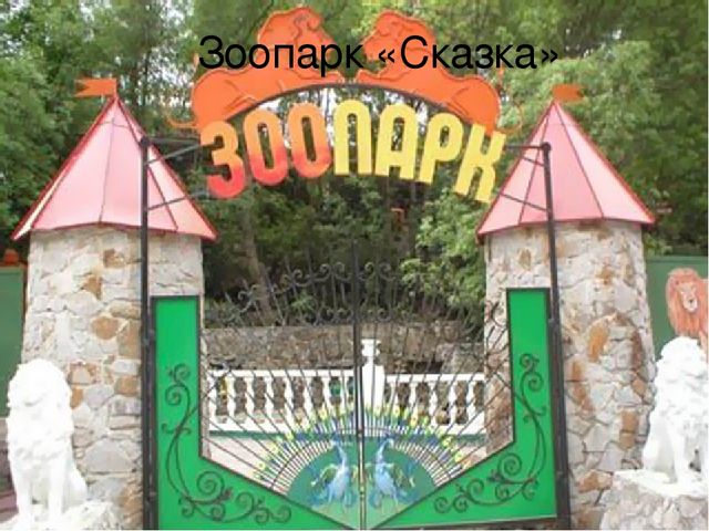 Интегрированное итоговое занятия  «Прогулка в лес»    