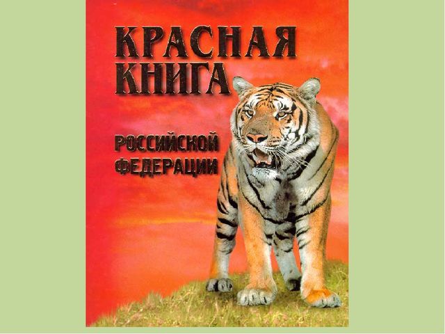 Интегрированное итоговое занятия  «Прогулка в лес»    