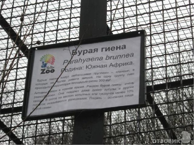 Интегрированное итоговое занятия  «Прогулка в лес»    