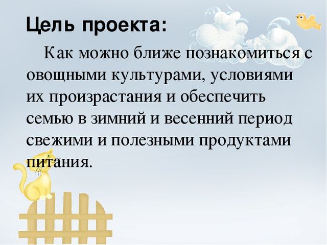 Проект "Огород на окне"