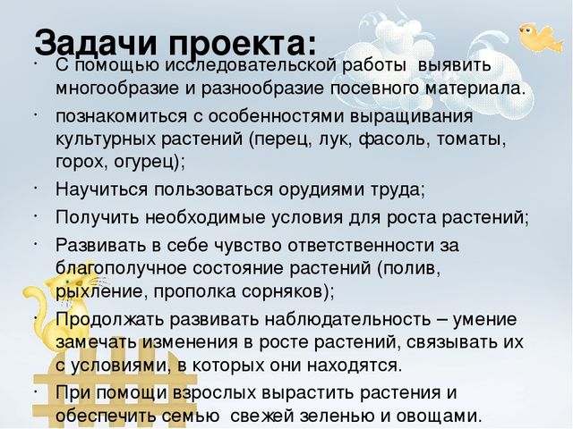 Проект "Огород на окне"