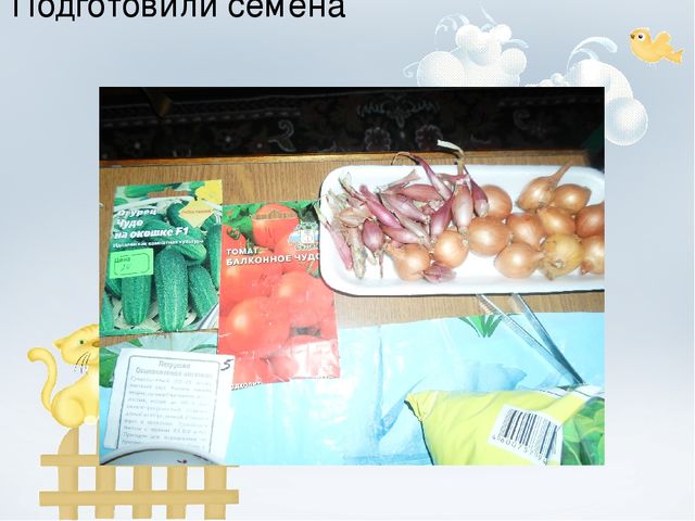 Проект "Огород на окне"