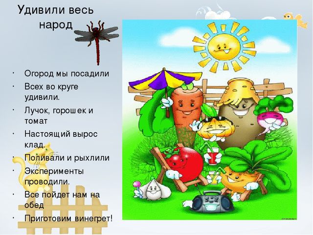 Проект "Огород на окне"