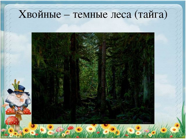 Презентация по экологии "Старичек лесовичек приглашает детей в свой лес" (Дошкольное образование)