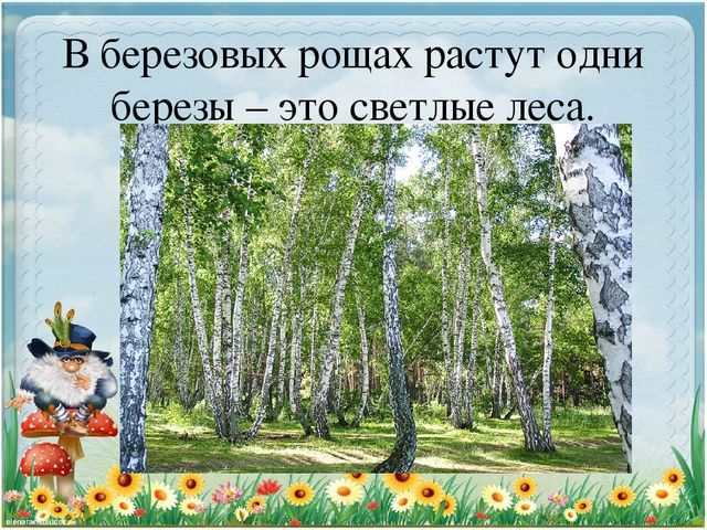 Презентация по экологии "Старичек лесовичек приглашает детей в свой лес" (Дошкольное образование)